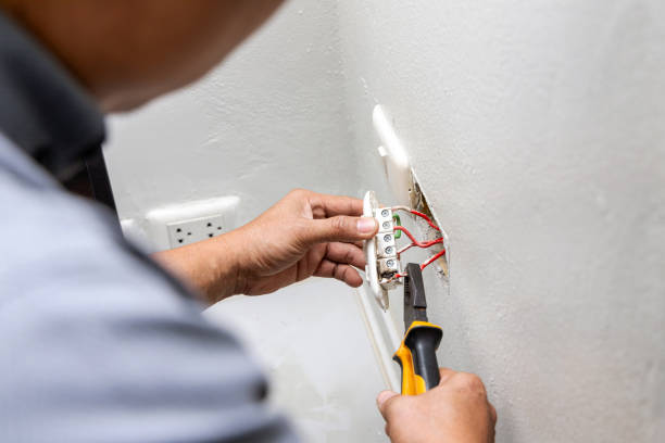 Best Electric Panel Repair  in Arroyo Seco, NM