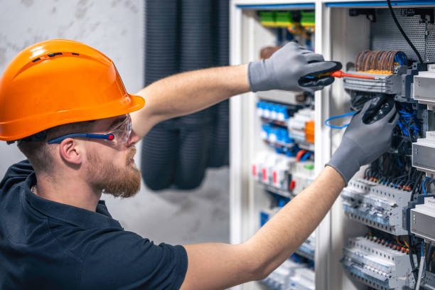 Best Electric Panel Repair  in Arroyo Seco, NM